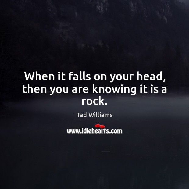 When it falls on your head, then you are knowing it is a rock. Tad Williams Picture Quote