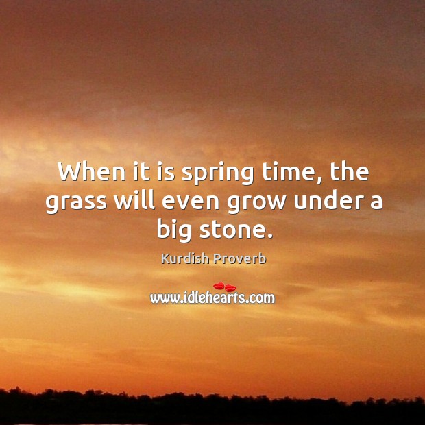 When it is spring time, the grass will even grow under a big stone. Kurdish Proverbs Image