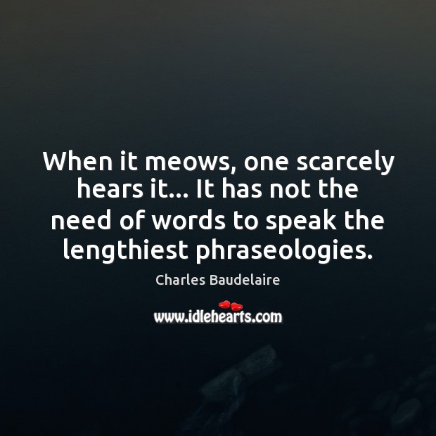 When it meows, one scarcely hears it… It has not the need Charles Baudelaire Picture Quote