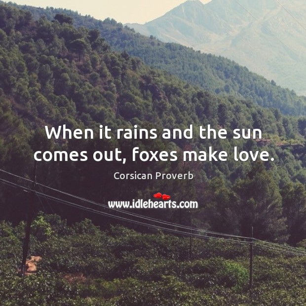 When it rains and the sun comes out, foxes make love. Corsican Proverbs Image