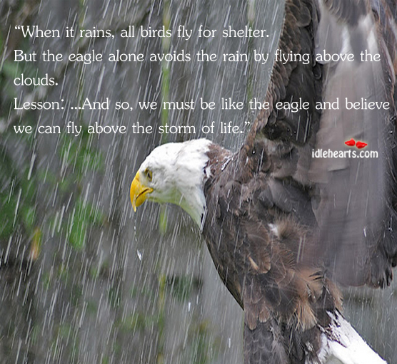 Be like an eagle and believe that you can fly above the storm. Motivational Quotes Image