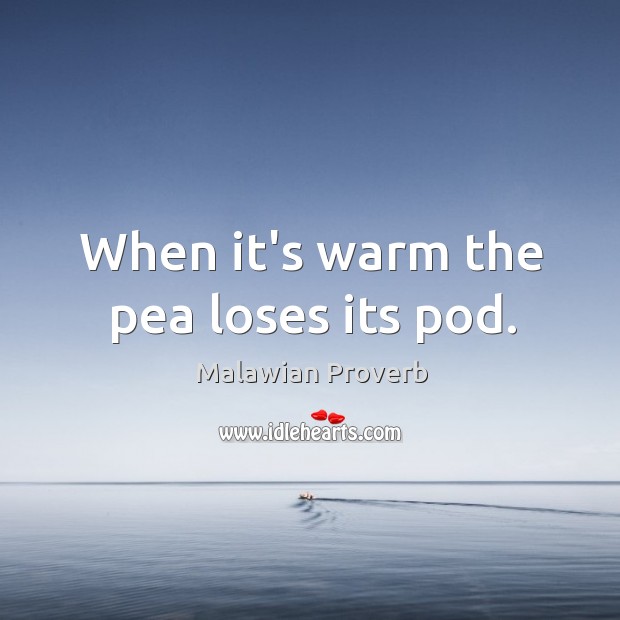 When it’s warm the pea loses its pod. Malawian Proverbs Image