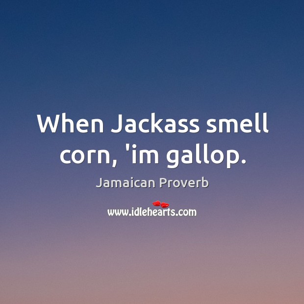 When jackass smell corn, ‘im gallop. Jamaican Proverbs Image
