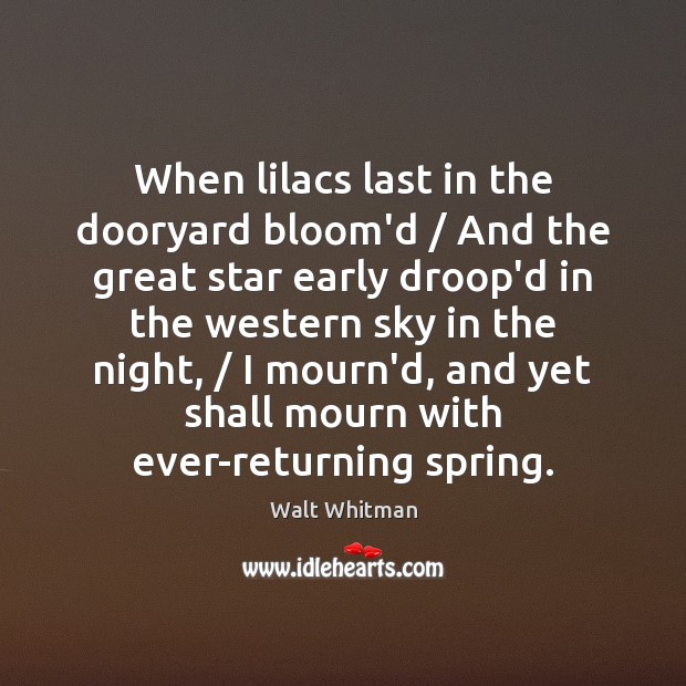 When lilacs last in the dooryard bloom’d / And the great star early Walt Whitman Picture Quote