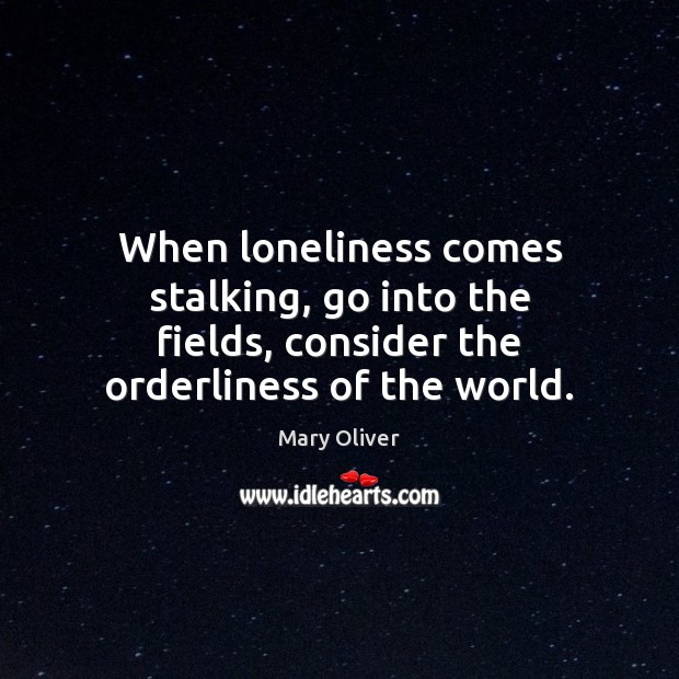 When loneliness comes stalking, go into the fields, consider the orderliness of the world. Mary Oliver Picture Quote
