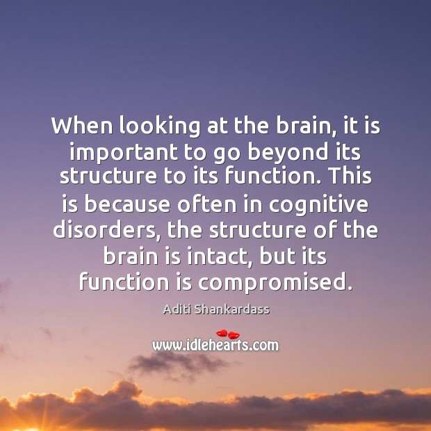 When looking at the brain, it is important to go beyond its Image