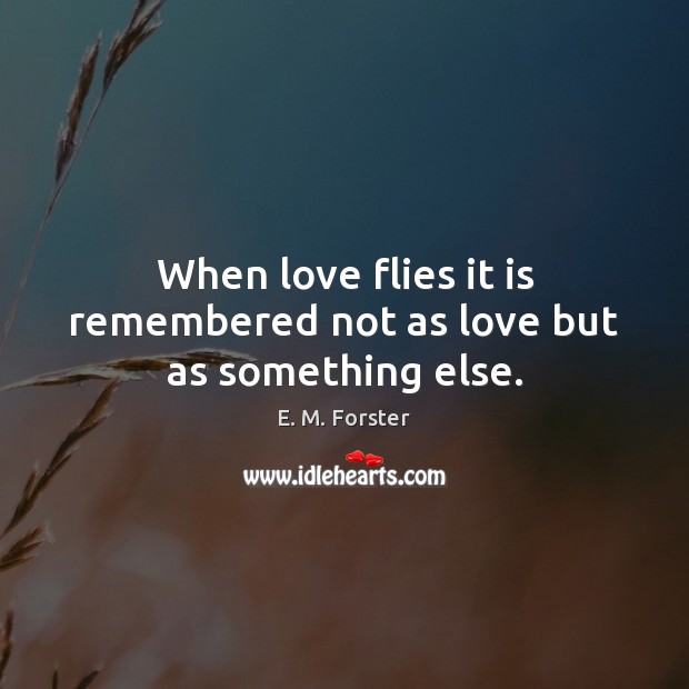 When love flies it is remembered not as love but as something else. Image