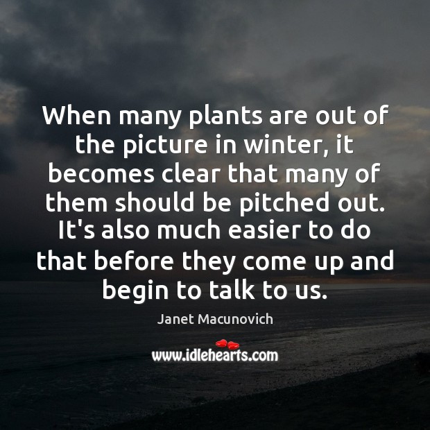 When many plants are out of the picture in winter, it becomes Janet Macunovich Picture Quote