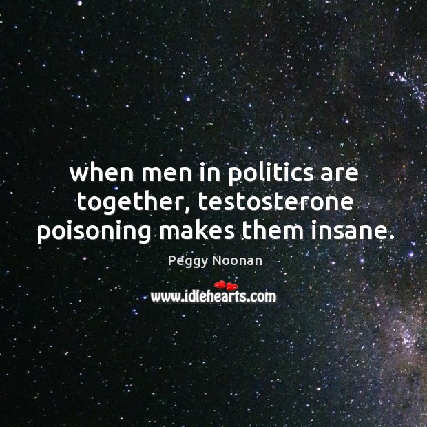 When men in politics are together, testosterone poisoning makes them insane. Peggy Noonan Picture Quote