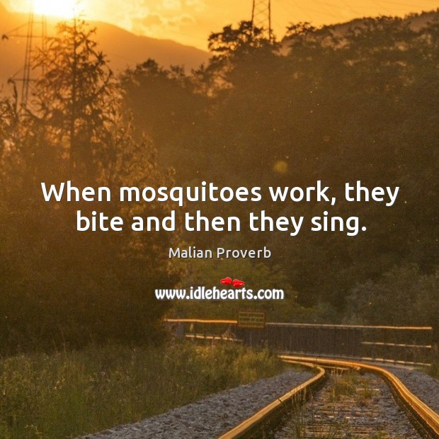 When mosquitoes work, they bite and then they sing. Image