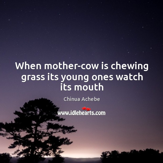 When mother-cow is chewing grass its young ones watch its mouth Chinua Achebe Picture Quote