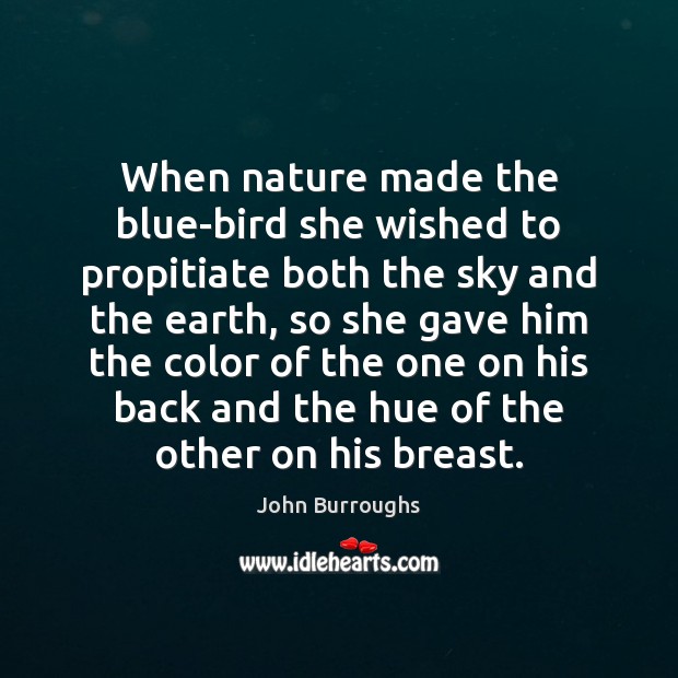 When nature made the blue-bird she wished to propitiate both the sky John Burroughs Picture Quote