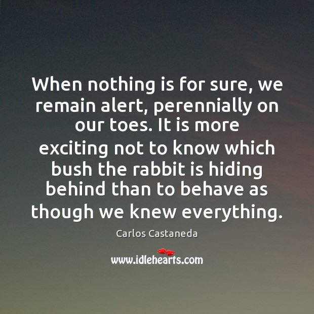 When nothing is for sure, we remain alert, perennially on our toes. Carlos Castaneda Picture Quote