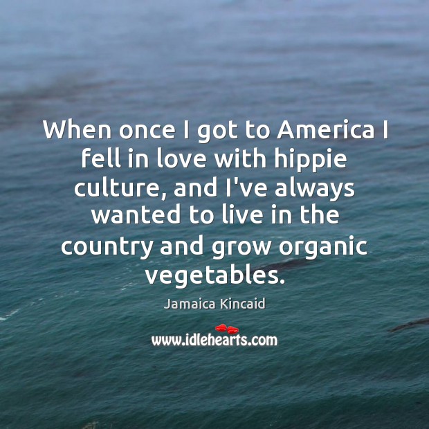 When once I got to America I fell in love with hippie Jamaica Kincaid Picture Quote