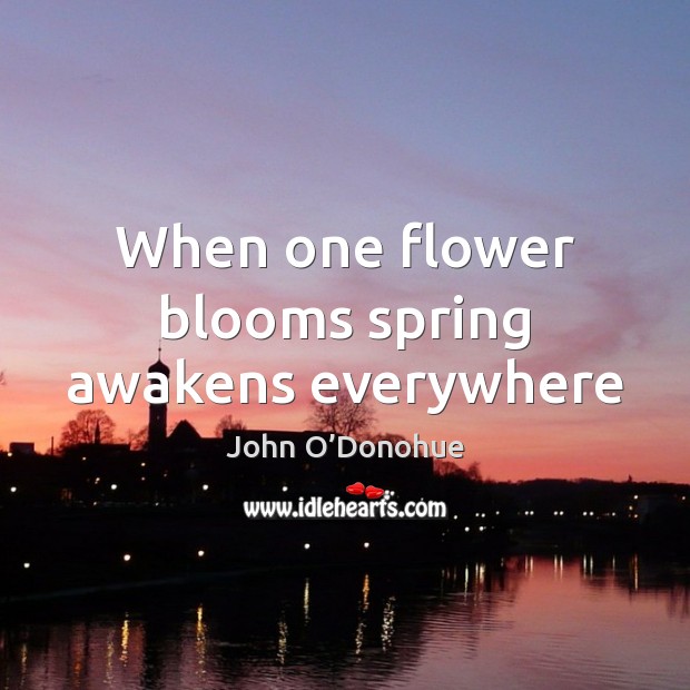 When one flower blooms spring awakens everywhere John O’Donohue Picture Quote