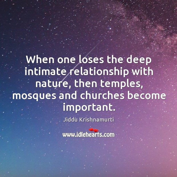 When one loses the deep intimate relationship with nature, then temples, mosques and churches become important. Jiddu Krishnamurti Picture Quote