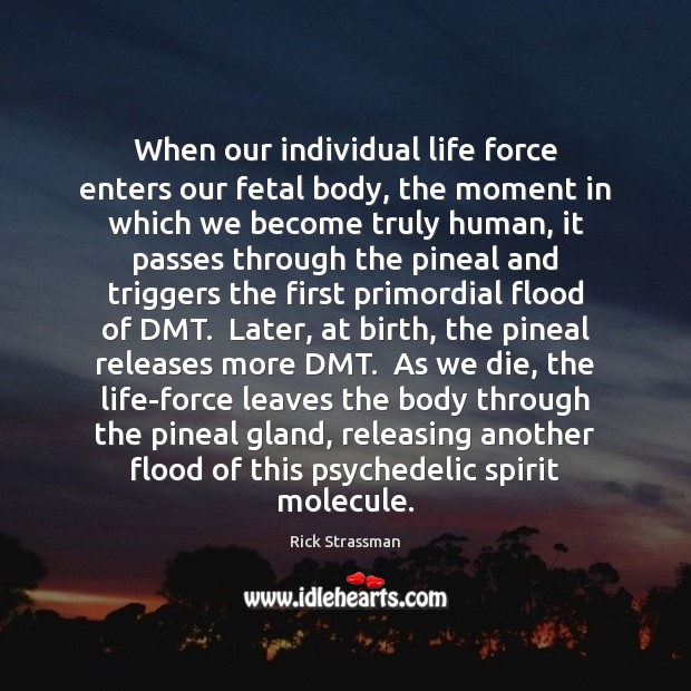 When our individual life force enters our fetal body, the moment in Image