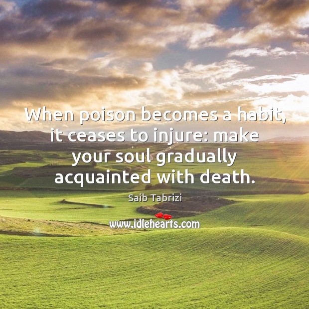 When poison becomes a habit, it ceases to injure: make your soul Image