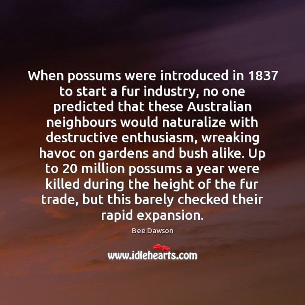When possums were introduced in 1837 to start a fur industry, no one Image