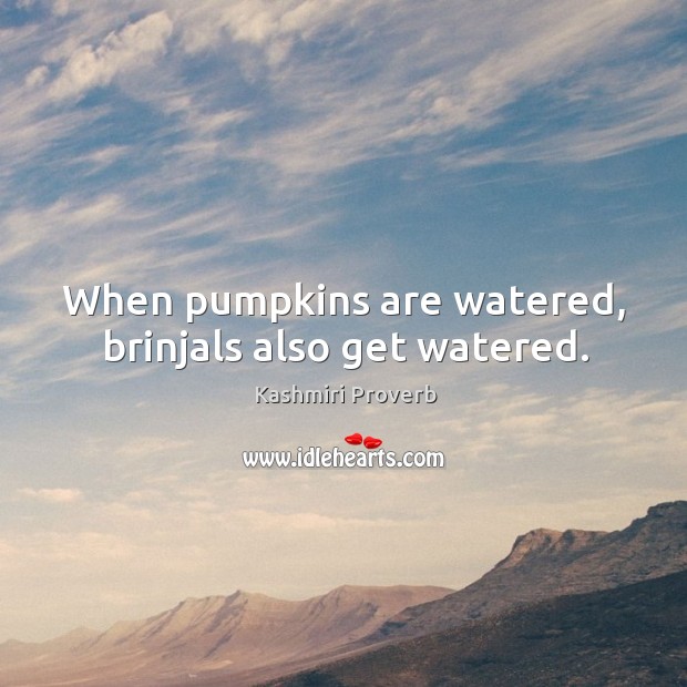When pumpkins are watered, brinjals also get watered. Kashmiri Proverbs Image