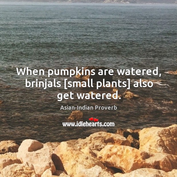 When pumpkins are watered, brinjals [small plants] also get watered. Asian-Indian Proverbs Image