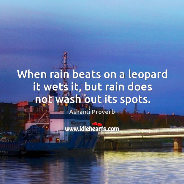 When rain beats on a leopard it wets it, but rain does not wash out its spots. Ashanti Proverbs Image