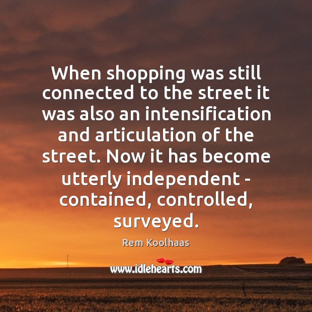 When shopping was still connected to the street it was also an Rem Koolhaas Picture Quote