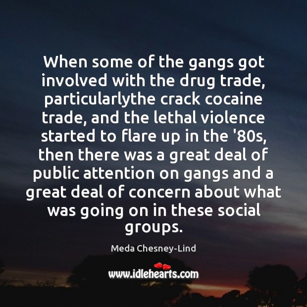 When some of the gangs got involved with the drug trade, particularlythe Meda Chesney-Lind Picture Quote