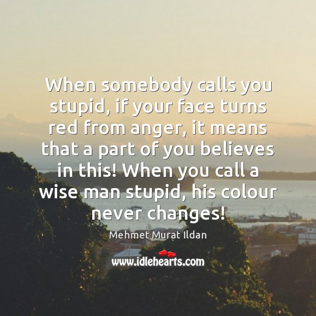 When somebody calls you stupid, if your face turns red from anger, Mehmet Murat Ildan Picture Quote