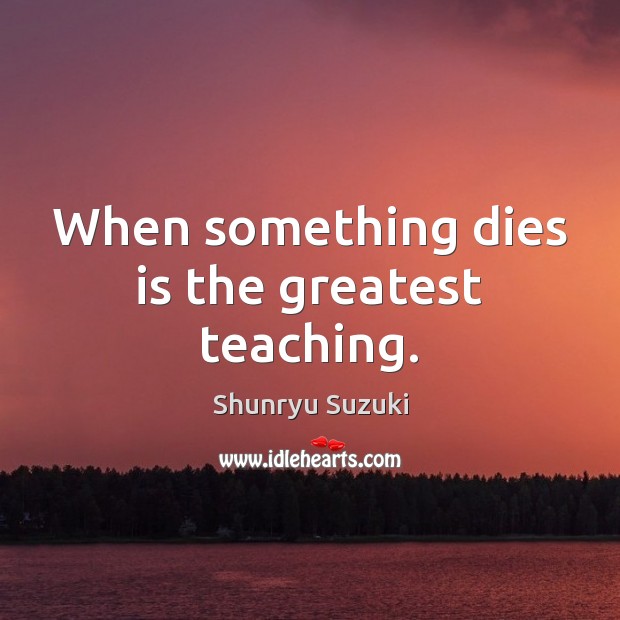 When something dies is the greatest teaching. Shunryu Suzuki Picture Quote