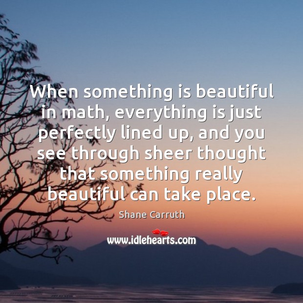 When something is beautiful in math, everything is just perfectly lined up, Shane Carruth Picture Quote
