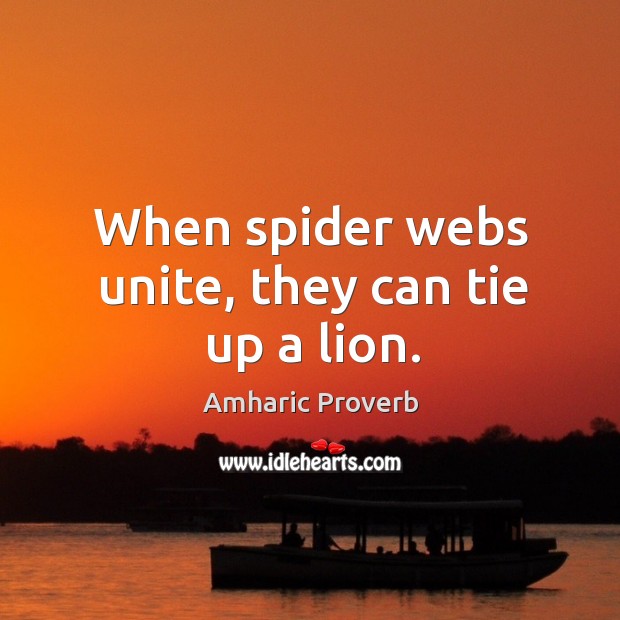 When spider webs unite, they can tie up a lion. Amharic Proverbs Image