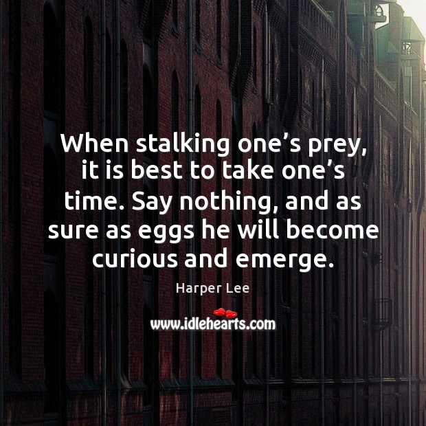 When stalking one’s prey, it is best to take one’s Harper Lee Picture Quote