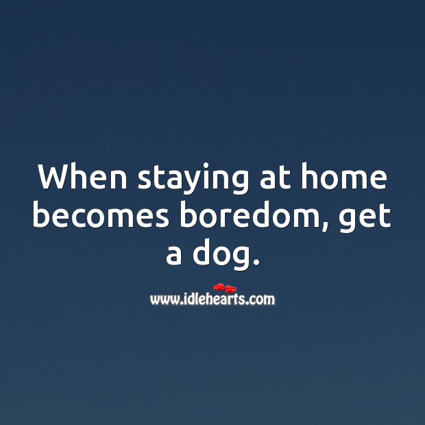 When staying at home becomes boredom, get a dog. Stay Safe Quotes Image