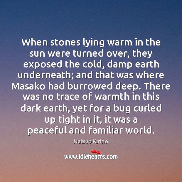 When stones lying warm in the sun were turned over, they exposed Natsuo Kirino Picture Quote