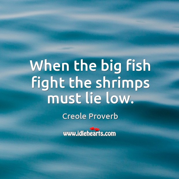 When the big fish fight the shrimps must lie low. Creole Proverbs Image