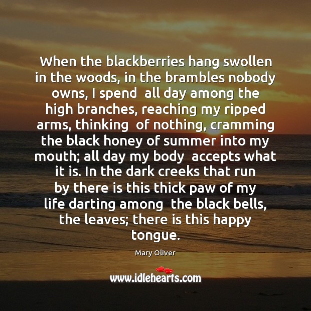 When the blackberries hang swollen in the woods, in the brambles nobody 
