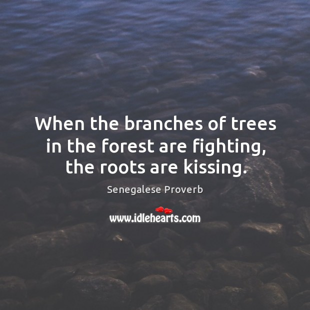 When the branches of trees in the forest are fighting, the roots are kissing. Senegalese Proverbs Image