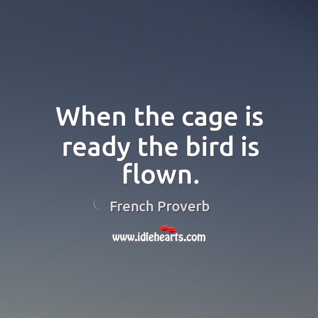 When the cage is ready the bird is flown. Image