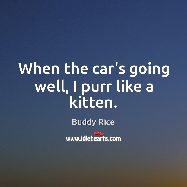 When the car’s going well, I purr like a kitten. Buddy Rice Picture Quote