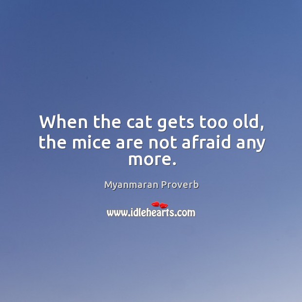 When the cat gets too old, the mice are not afraid any more. Myanmaran Proverbs Image