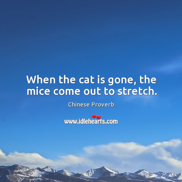 When the cat is gone, the mice come out to stretch. Image