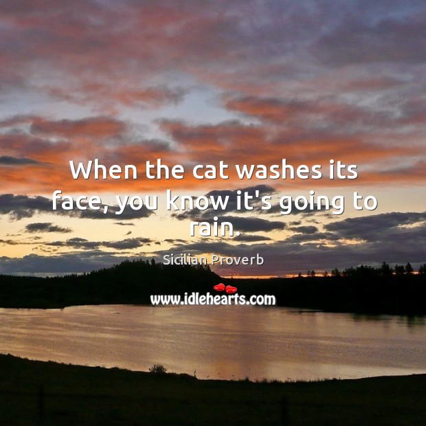 When the cat washes its face, you know it’s going to rain. Sicilian Proverbs Image