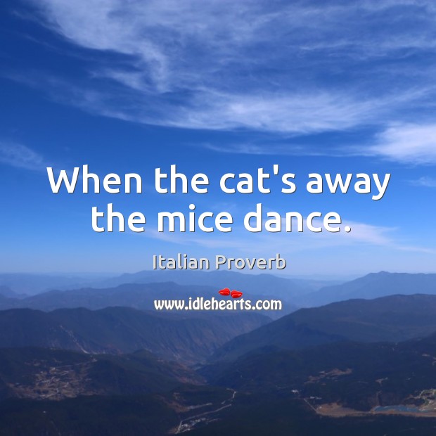 When the cat’s away the mice dance. Image