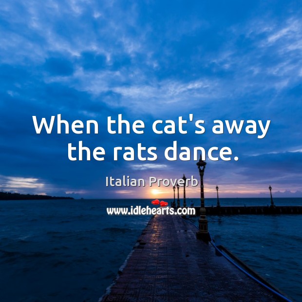 When the cat’s away the rats dance. Image