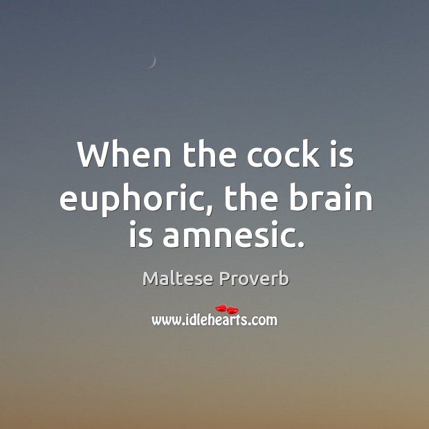 When the cock is euphoric, the brain is amnesic. Maltese Proverbs Image