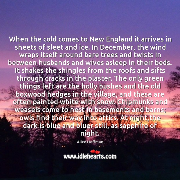 When the cold comes to New England it arrives in sheets of Image
