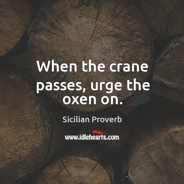 When the crane passes, urge the oxen on. Sicilian Proverbs Image