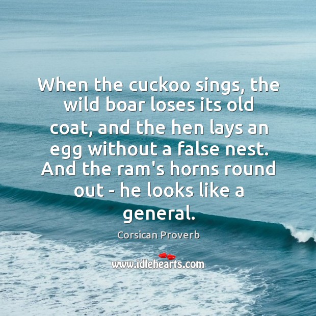 When the cuckoo sings, the wild boar loses its old coat Image