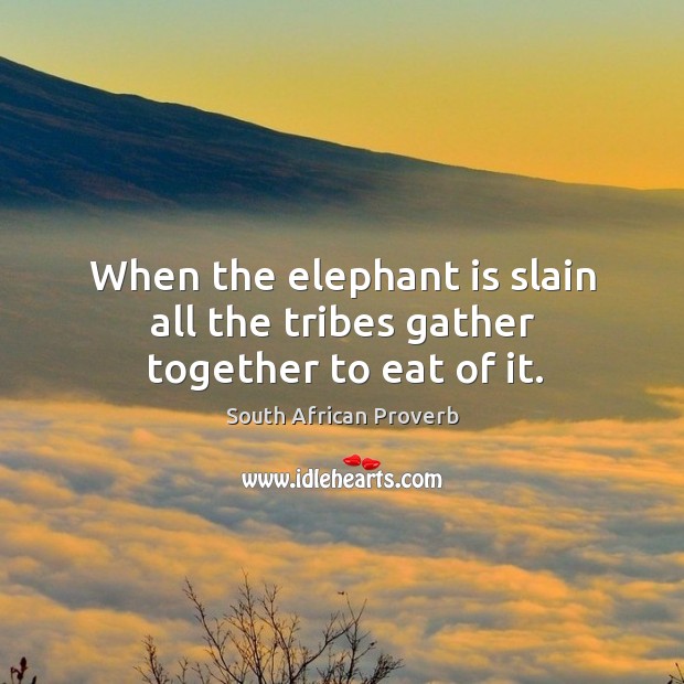 When the elephant is slain all the tribes gather together to eat of it. South African Proverbs Image